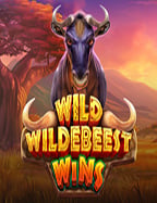 พบกับความสนุกใน cowboy slot ที่ไม่ควรพลาด