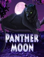 โปร ฝาก 20 รับ 100 วอ เลทเครดิต ฟรี z8 ที่ควรลอง